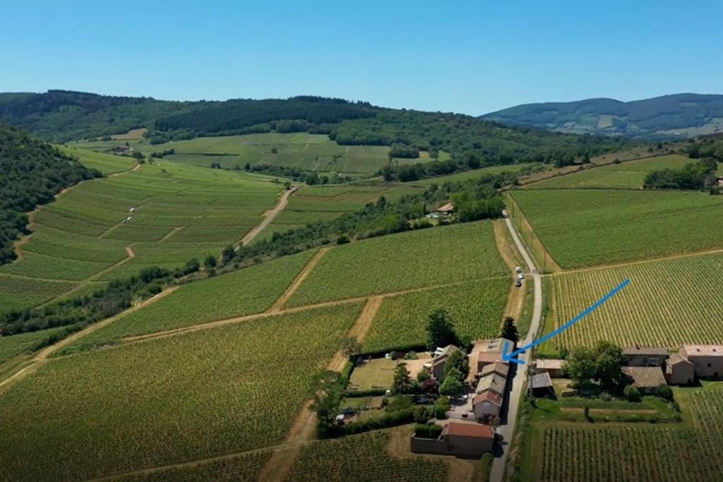 Le Tinailler Grand Standing Au Coeur Des Vignes Villa Prissé Buitenkant foto