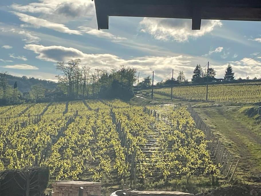Le Tinailler Grand Standing Au Coeur Des Vignes Villa Prissé Buitenkant foto