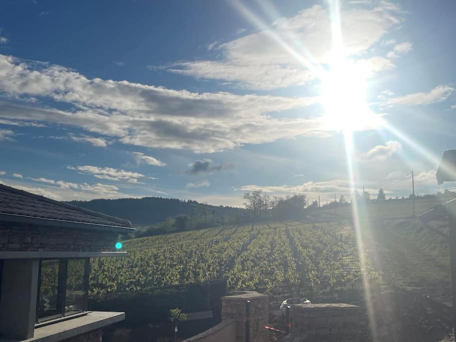 Le Tinailler Grand Standing Au Coeur Des Vignes Villa Prissé Buitenkant foto